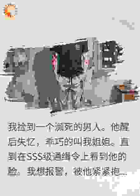 捡来的弟弟是SSS级通缉犯