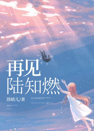 再见，陆知燃