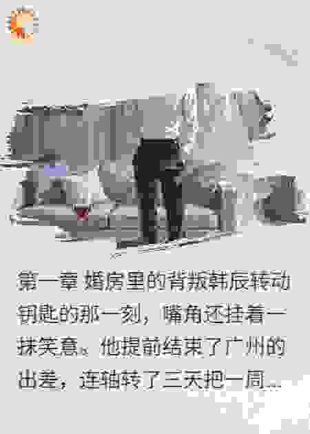 她带情人睡我床，我让她全网出名