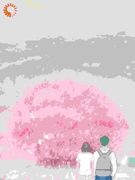从百万粉到被封杀