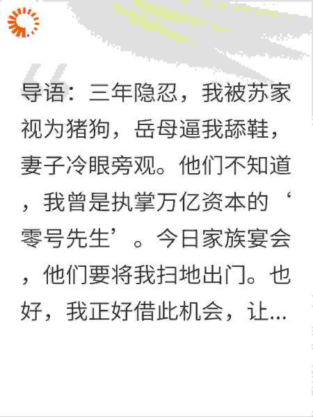 重生之巅：代号零号先生