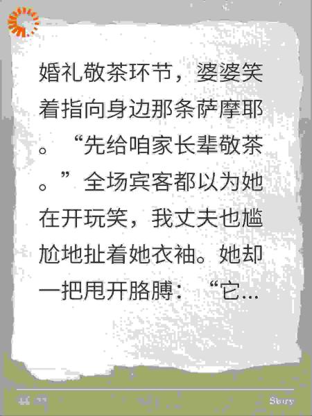 婚礼婆婆逼我给狗敬茶？我反手叫狗公公，全场炸锅