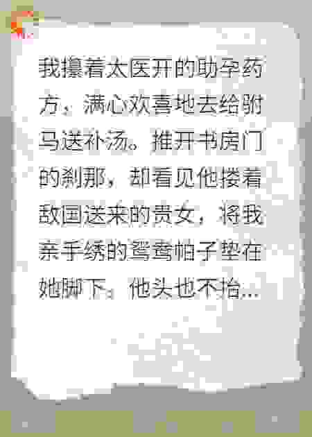 休了驸马后我当上了敌国皇后