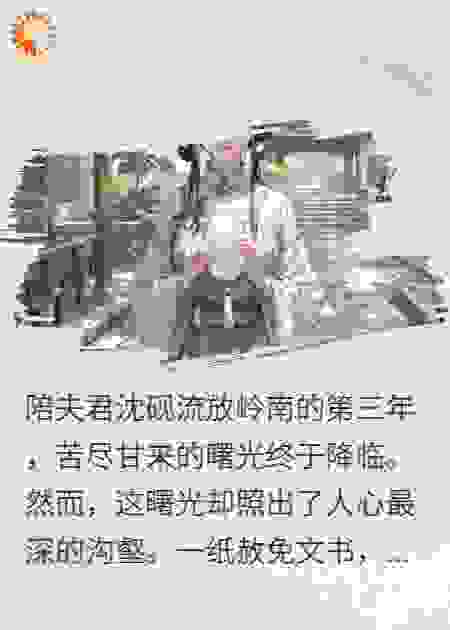 赦书误