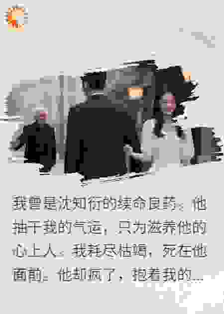 我死那天，京圈太子爷疯了