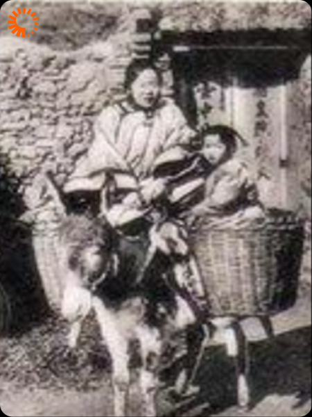 张寡妇