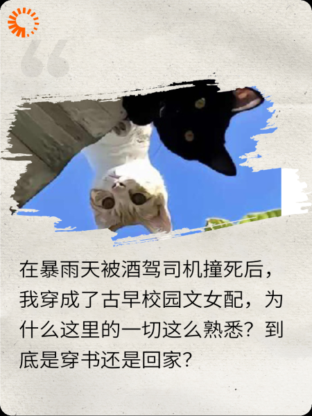 穿成校园文恶毒女配后