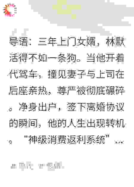 离婚当天，窝囊女婿激活了神级返利系统