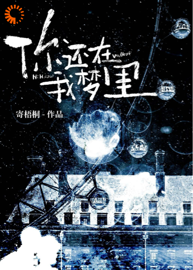 你还在我梦里